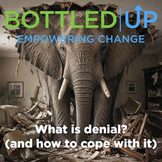 The Elephant In The Room (AKA denial)