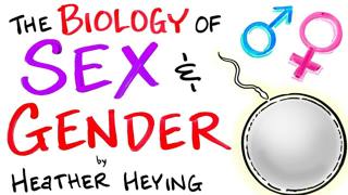 Sex & Gender: An Evolutionary Perspective - Heather Heying | After Skool