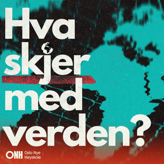 Abonner på podkasten Afrikansk politikk!
