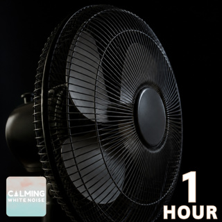 Oscillating Fan White Noise for Sleep | 1 Hour Fan Sounds