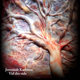 Vid din sida