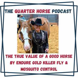The True Value of a Good Horse by Endure Gold Killer Fly & Mosquito Control