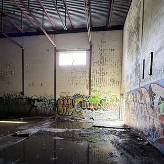 Devils on the Loose: How street gangs are exploiting a legal grey zone