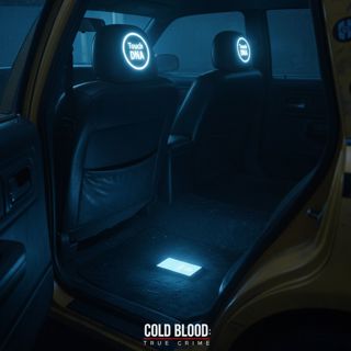The Kinshasa Night-Taxi Murders