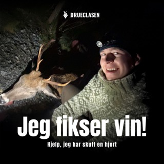 Hjelp, jeg har skutt en hjort!