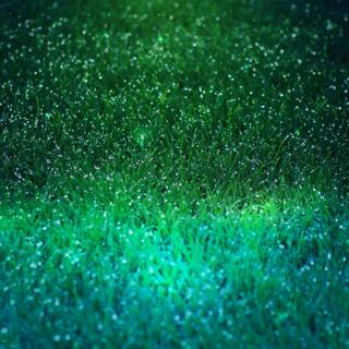 😴🌧️🎵 Authentic RAIN SHOWER Sound and Soft MUSIC for Peaceful SLEEP