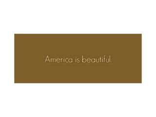 America IS Beautiful: Lunch with Louden 2/6/14