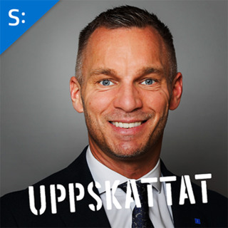 Erik Slottner om rollen som civilminister
