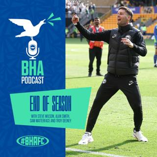 Pitchside at the AMEX: Brighton’s season in review