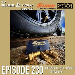 S&YE230 - Staun Tyre Deflators - SKOG Tools