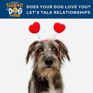 Does Your Dog Love You? Let's Talk Relationships #80