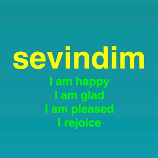 The verb “sevinmek” in Turkish