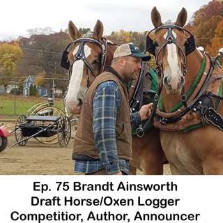 Ep. 75 Brandt Ainsworth, Draft Horse/Oxen Logger, Competitor, Author, Announcer