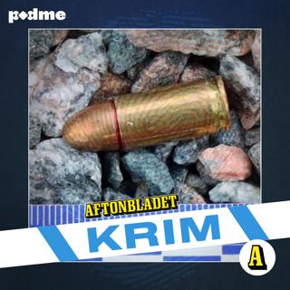 Realitystjärnan & mordkommandot i Eskilstuna