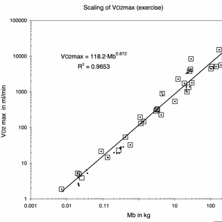 Watts Doc #42:The Relationship Between Size And Power