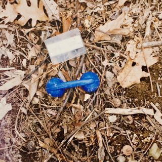 S8 Ep7: S8, The State v. Patricia Rorrer - Episode 4 - Killing Field