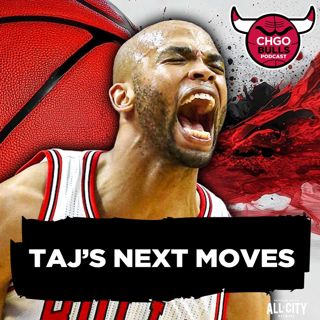 Could Taj Gibson Coaching Mean MORE Old Bulls Returning?! | CHGO Bulls Podcast