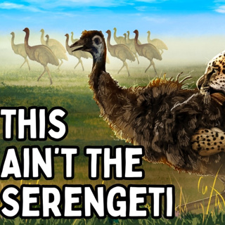 The Largest Savanna On Earth Is NOT In Africa