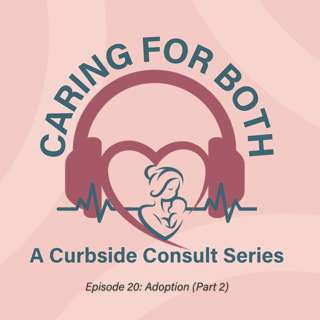 Episode 20: Adoption (Part 2)