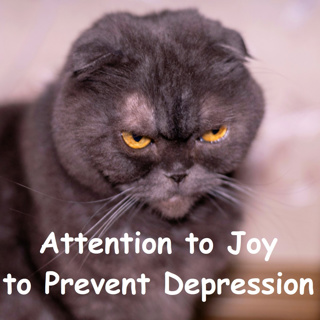 Retraining the Faultfinding Mind | Focus on Joyful Events to Counter Depression | Ajahn Dhammasiha