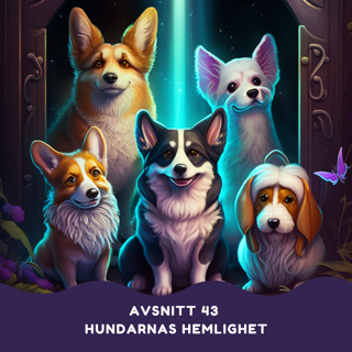Hundarnas hemlighet
