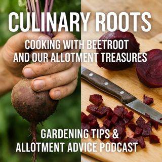 🎧 Culinary Roots: Cooking with Beetroot and Our Allotment Treasures | Gardening Tips & Allotment Advice Podcast