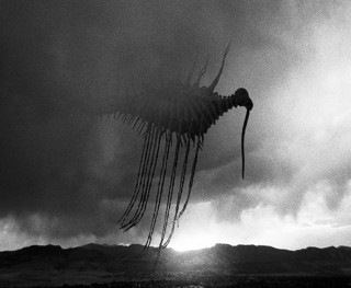(VIDEO) ENTERTAINING SHORT FILMS: QUIET APOCALYPSE