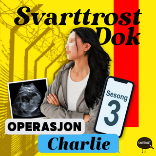 Operasjon Charlie S3 (oppdatering) På vei inn i retten