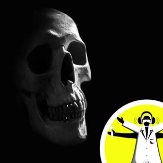 The History of Hominins: Are Humans Special?