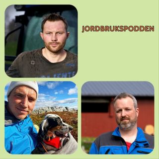 Episode 73 Nyheter med Ola, Anders, og Asbjørn