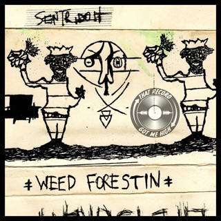 S6E322 - Sentridoh (Sebadoh) 'Weed Forestin' with Dave Gebroe
