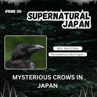 Encore Episode: Mysterious Crows in Japan - Karasu カラス