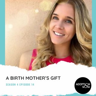 A Birthmother's Gift [S4E14]