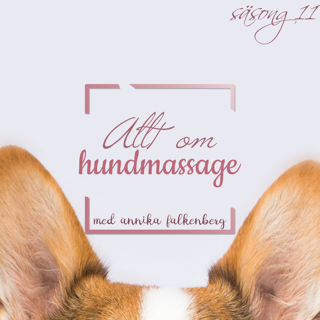 Allt om hundmassage