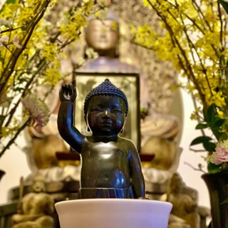 Dai Bosatsu Holy Days Sesshin Closing Remarks by Shinge Roshi, 2023.4.15