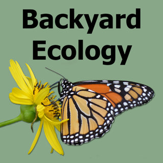 Introducing the Backyard Ecology podcast