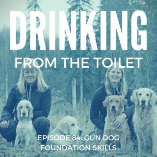 #84: Gun Dog Foundation Skills