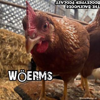 Ep.49 Grey & Naked Illinois