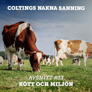 33. Om kött och miljö.