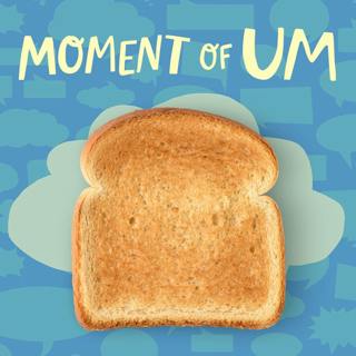 Why does bread change color and texture in the toaster?