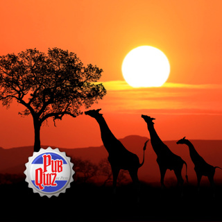 What is the official currency of South Africa?