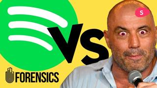 How Joe Rogan Became The Biggest Interviewer in the World | Sidebean