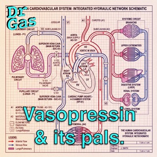 Vasopressin and its pals