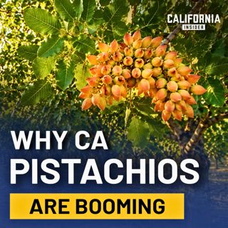 A Farming Takeover Happened in California; Most Residents Never Noticed | Tom Coleman & Stephen Vasquez