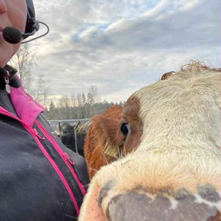 Avsnitt 31: Madde - När förutsättningarna skiljer sig åt