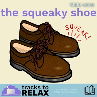 The Squeaky Shoe - A Rhyming Bedtime Story (family)
