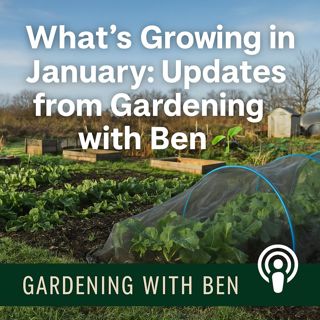 🎧 🌱 What’s Growing in January | Updates from Gardening with Ben