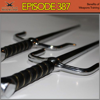 Episode 387 - Benefits of Weapons Training