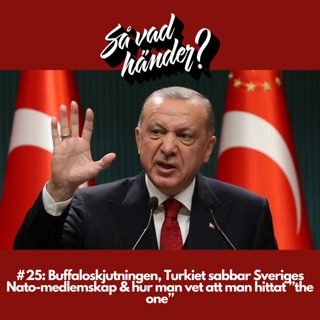 #25: Buffaloskjutningen, Turkiet sabbar Sveriges Nato-medlemskap & hur man vet att man hittat ”the one”
