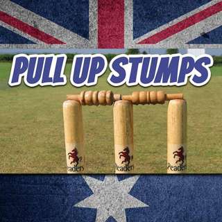 AE 462 - Expression: Pull Up Stumps